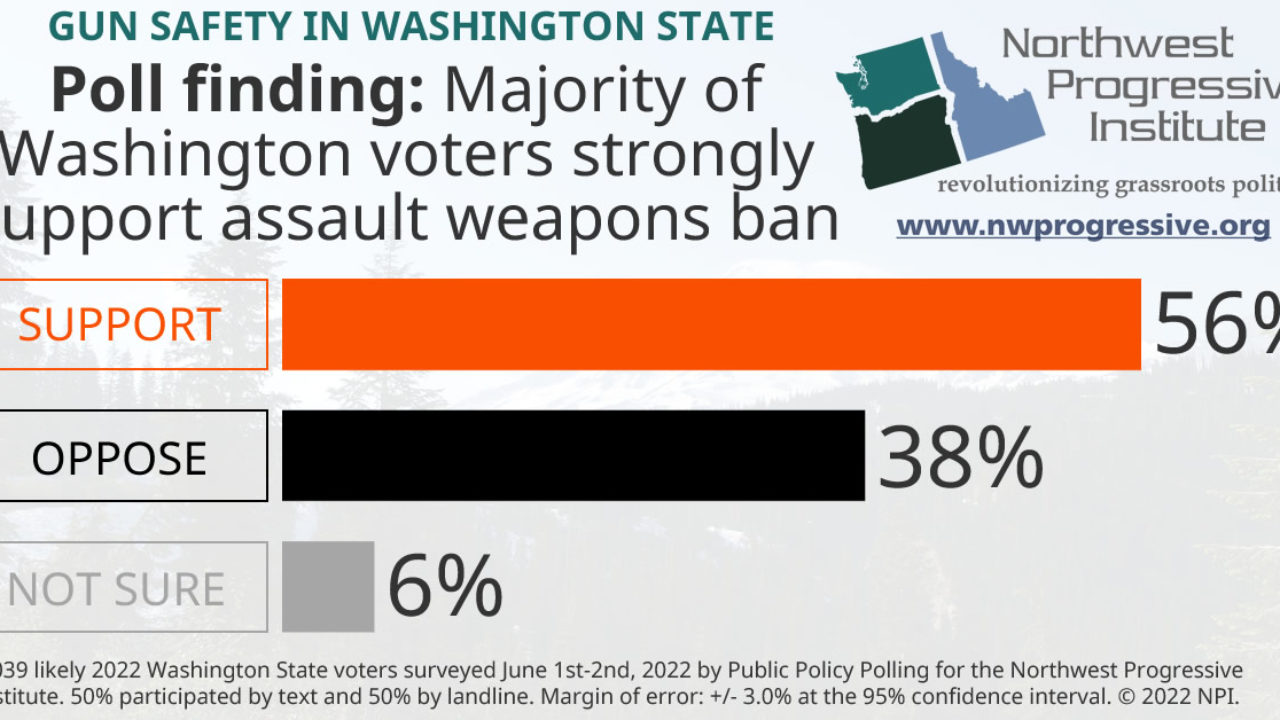 Washington State Assault Weapons Ban