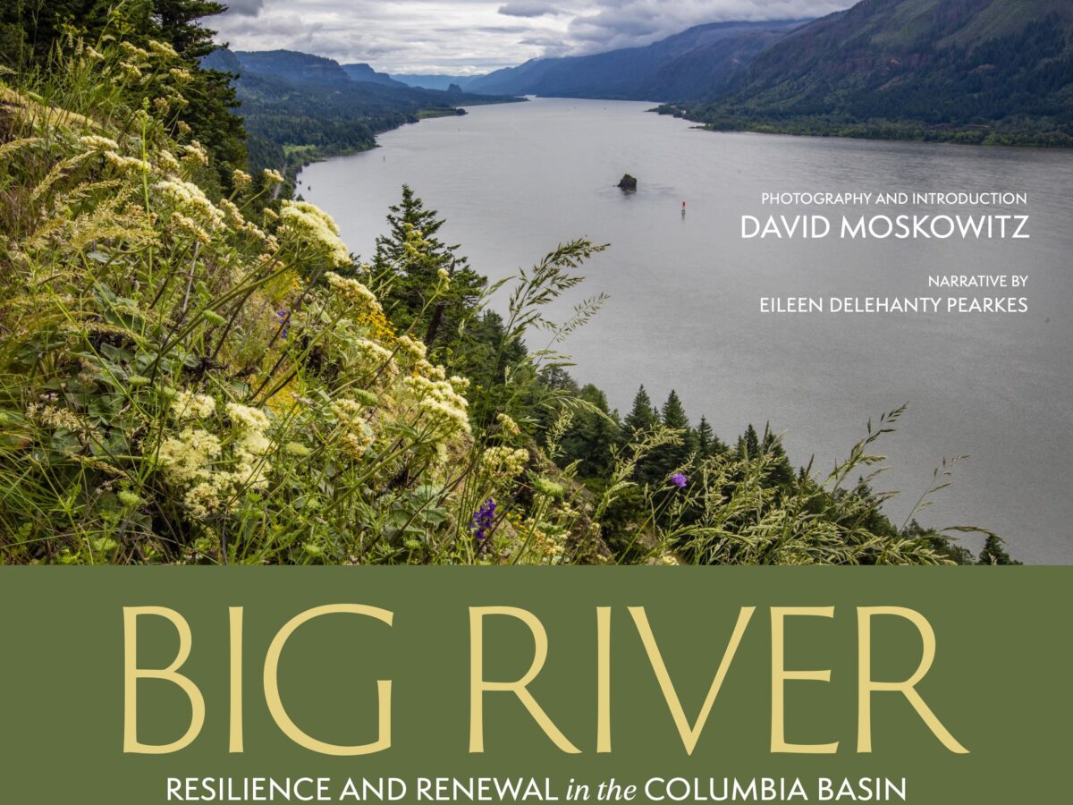 Big River book cover
